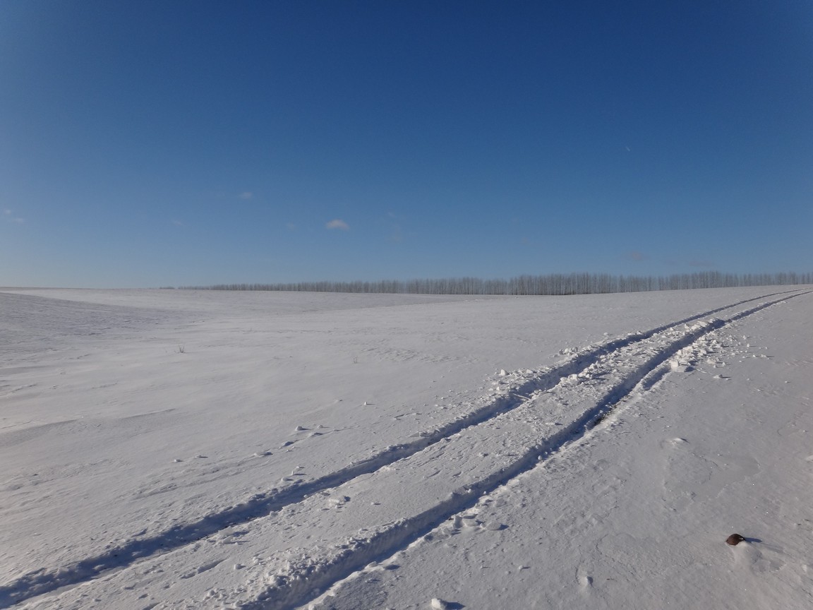 DSC01532.JPG