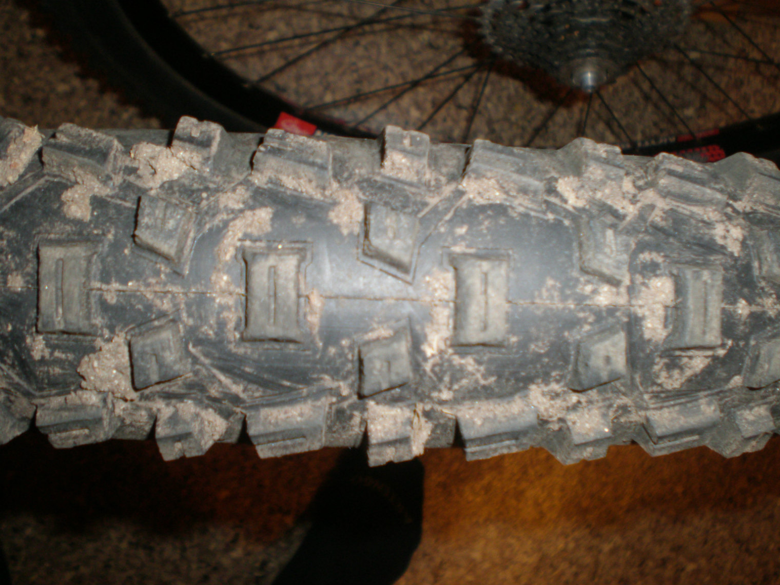 P1010006авриватв.jpg