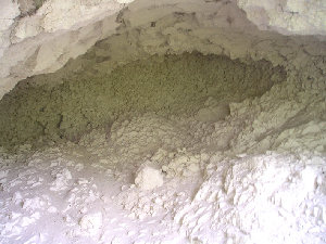 у истока меловой реки