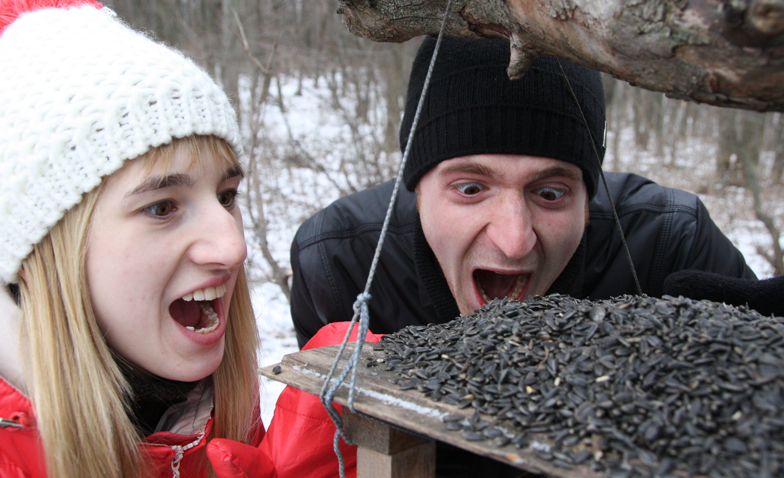 2014_01_03_1933_a.jpg