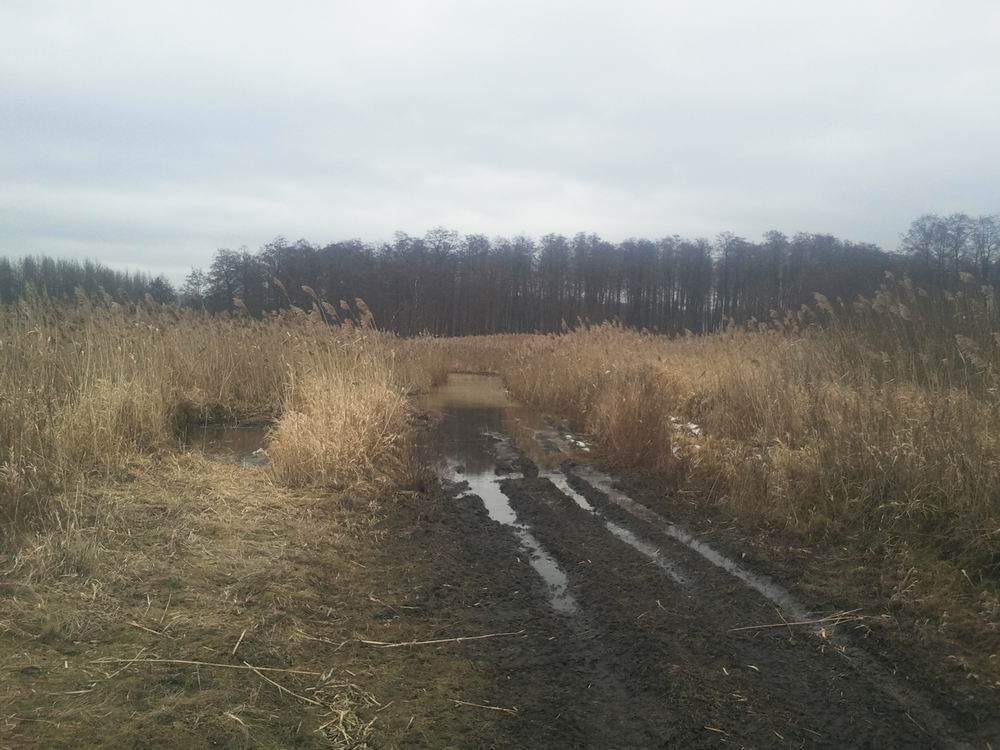 Resize of 2014-01-12 13.20.25.jpg
