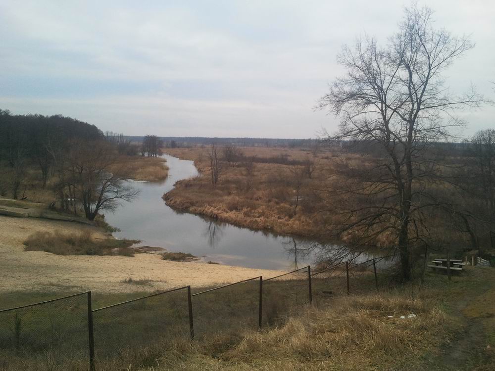 Resize of 2014-01-12 15.33.42.jpg