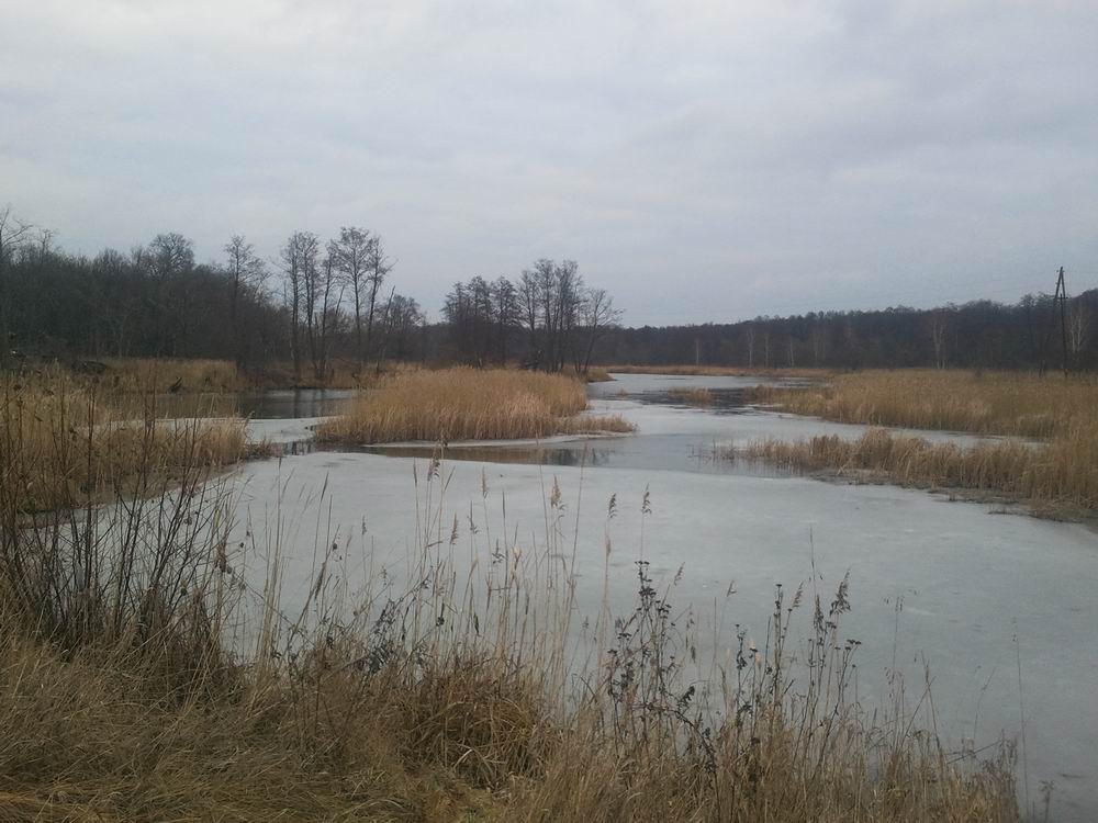 Resize of 2014-01-12 15.51.21.jpg