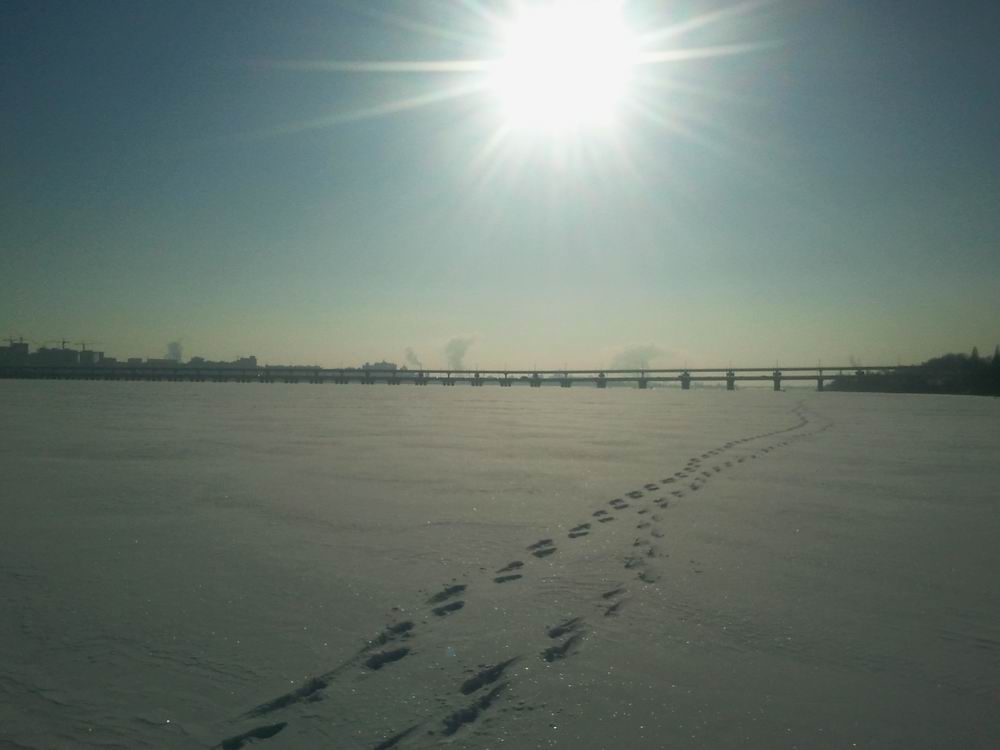 Resize of 2014-01-19 13.39.39.jpg