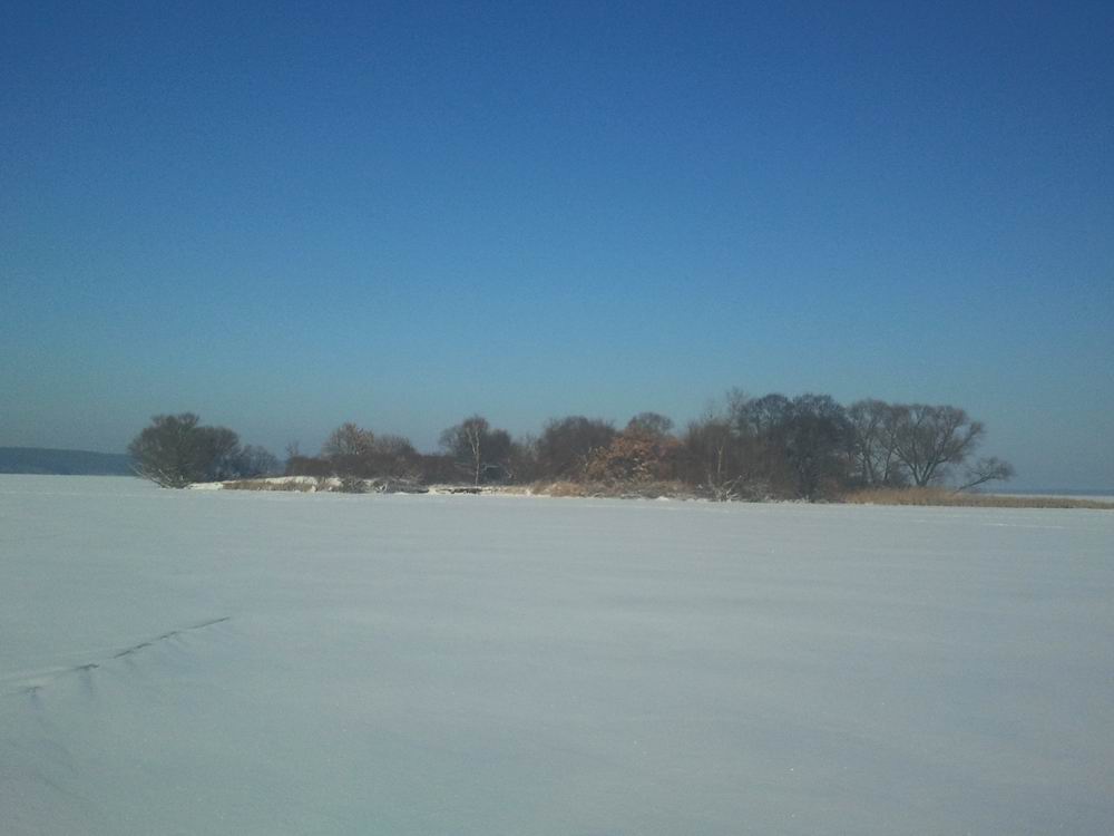 Resize of 2014-01-19 14.16.34.jpg