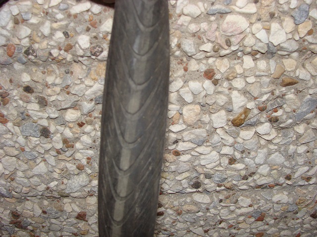 DSC03111.JPG