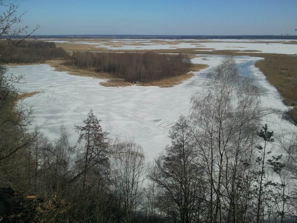 Resize of 2014-03-08 15.12.25.jpg