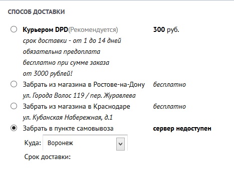 100.jpg