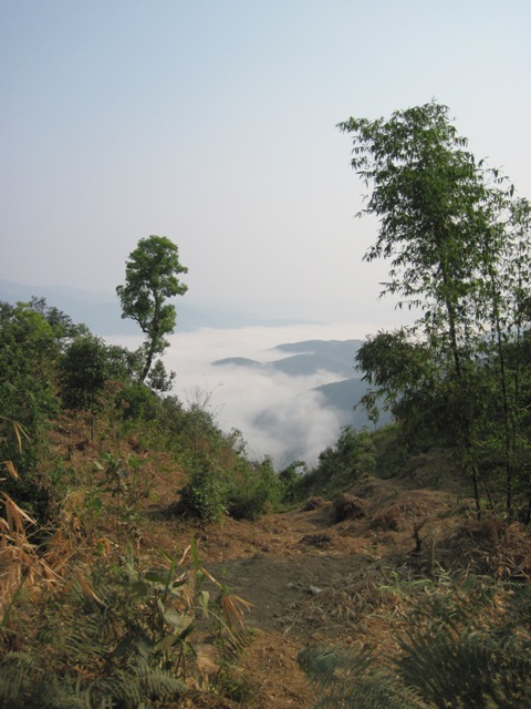 IMG_1215.JPG