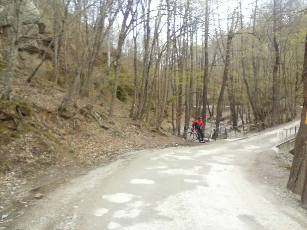 IMAGE-ICQ--20140402_024032-8.jpg
