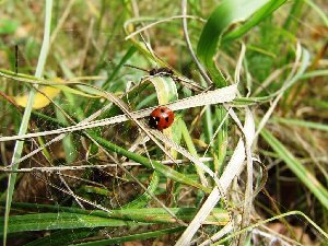DSCF2630.JPG