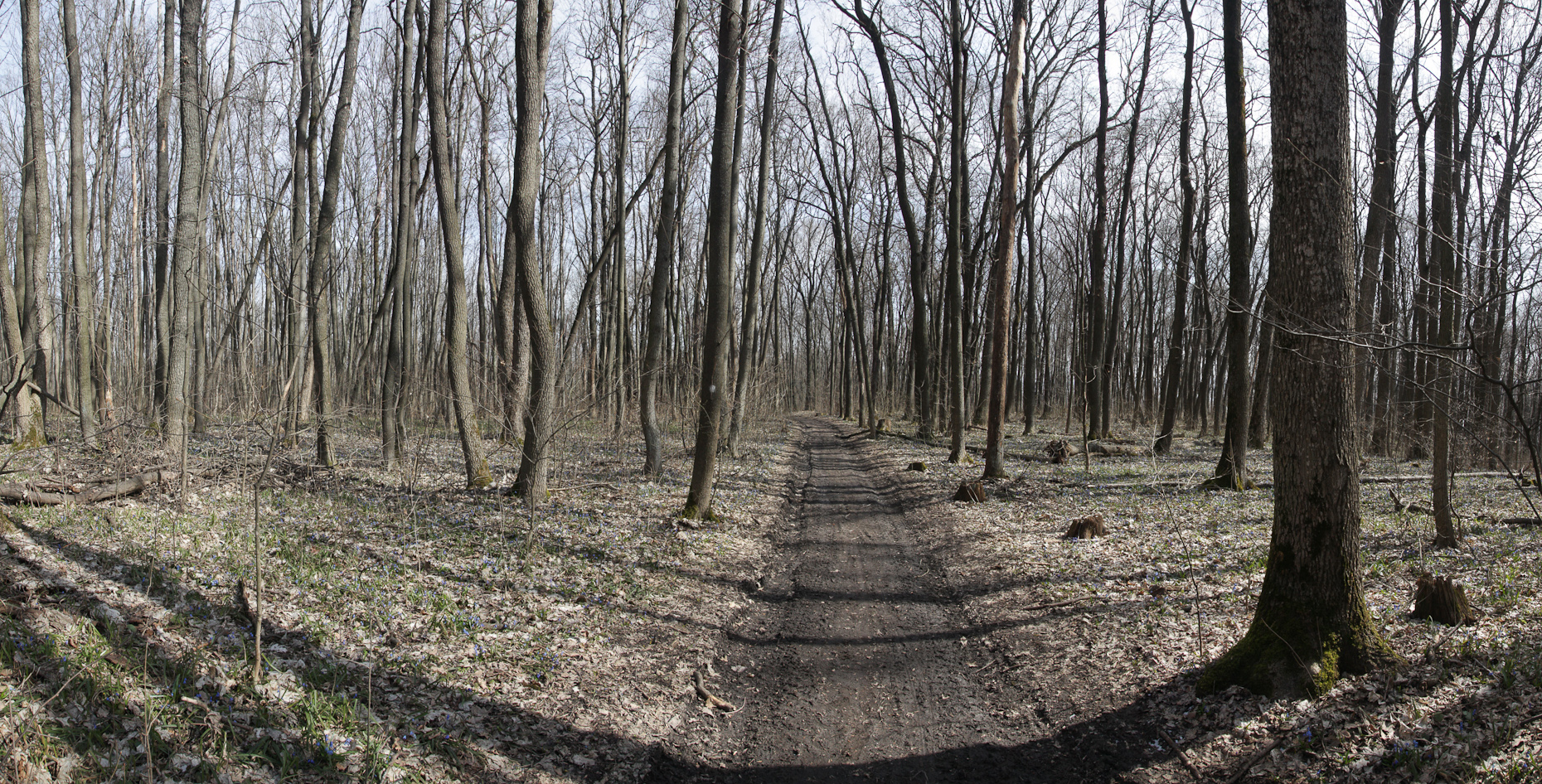 2014_04_06_2843_Pano_a.jpg