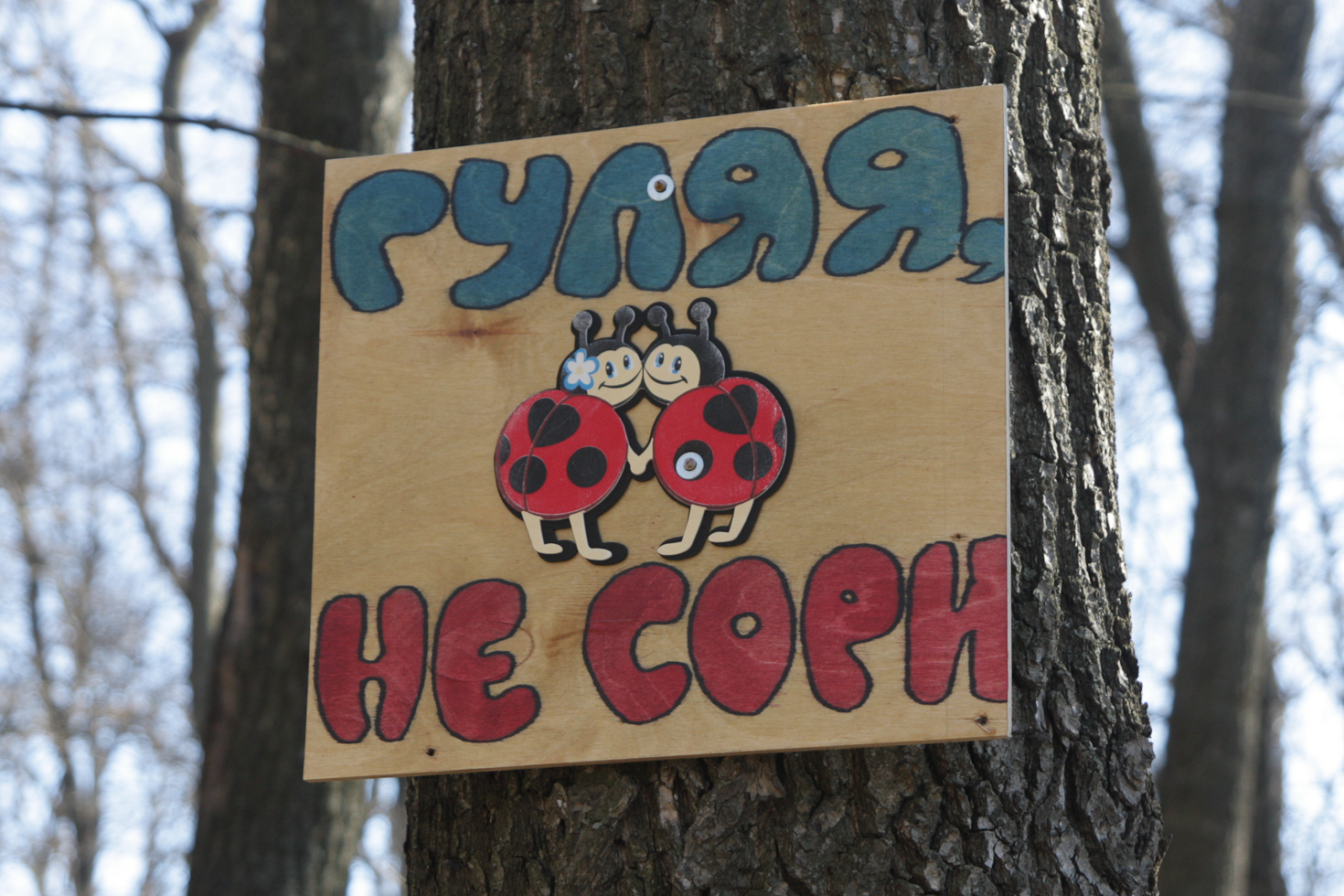 2014_04_12_2874_a.jpg