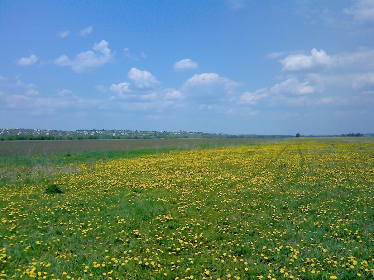 20090511_.jpg