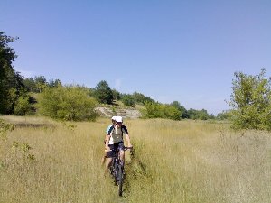 На обратной дороге