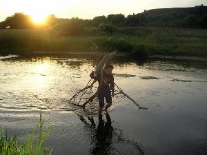речной трелёвщик DM76.