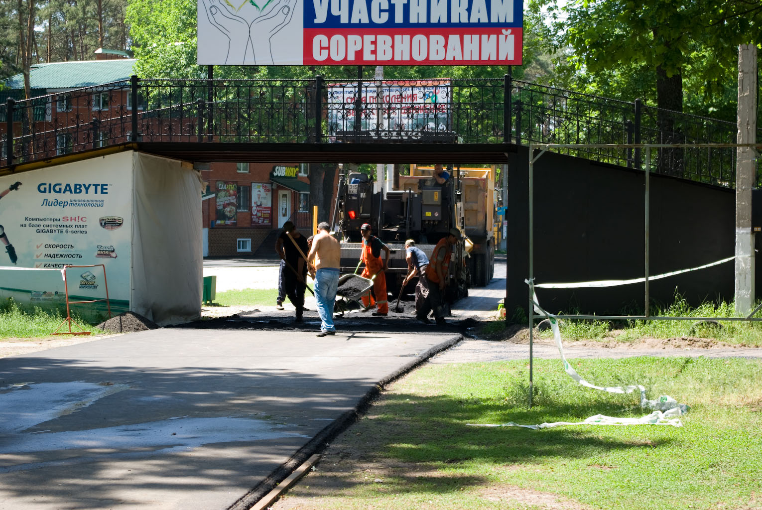 IMGP0829.jpg