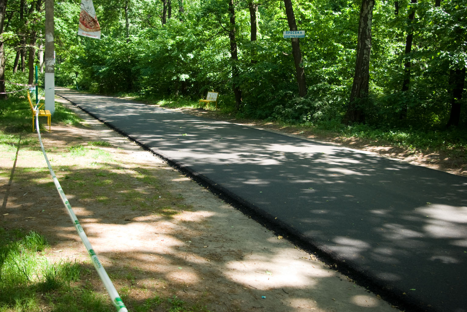 IMGP0830.jpg