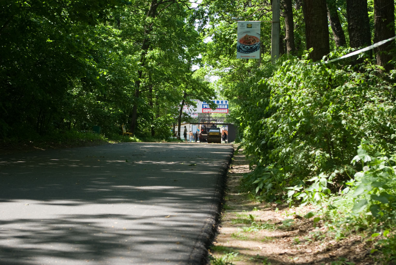 IMGP0831.jpg