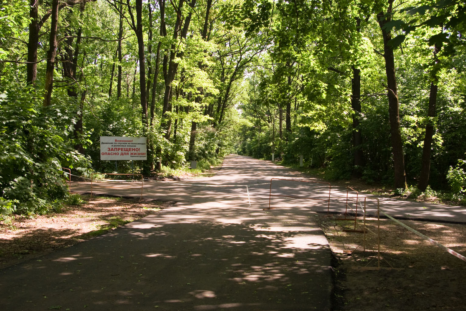 IMGP0837.jpg