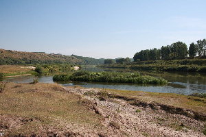 IMG_9485.JPG
