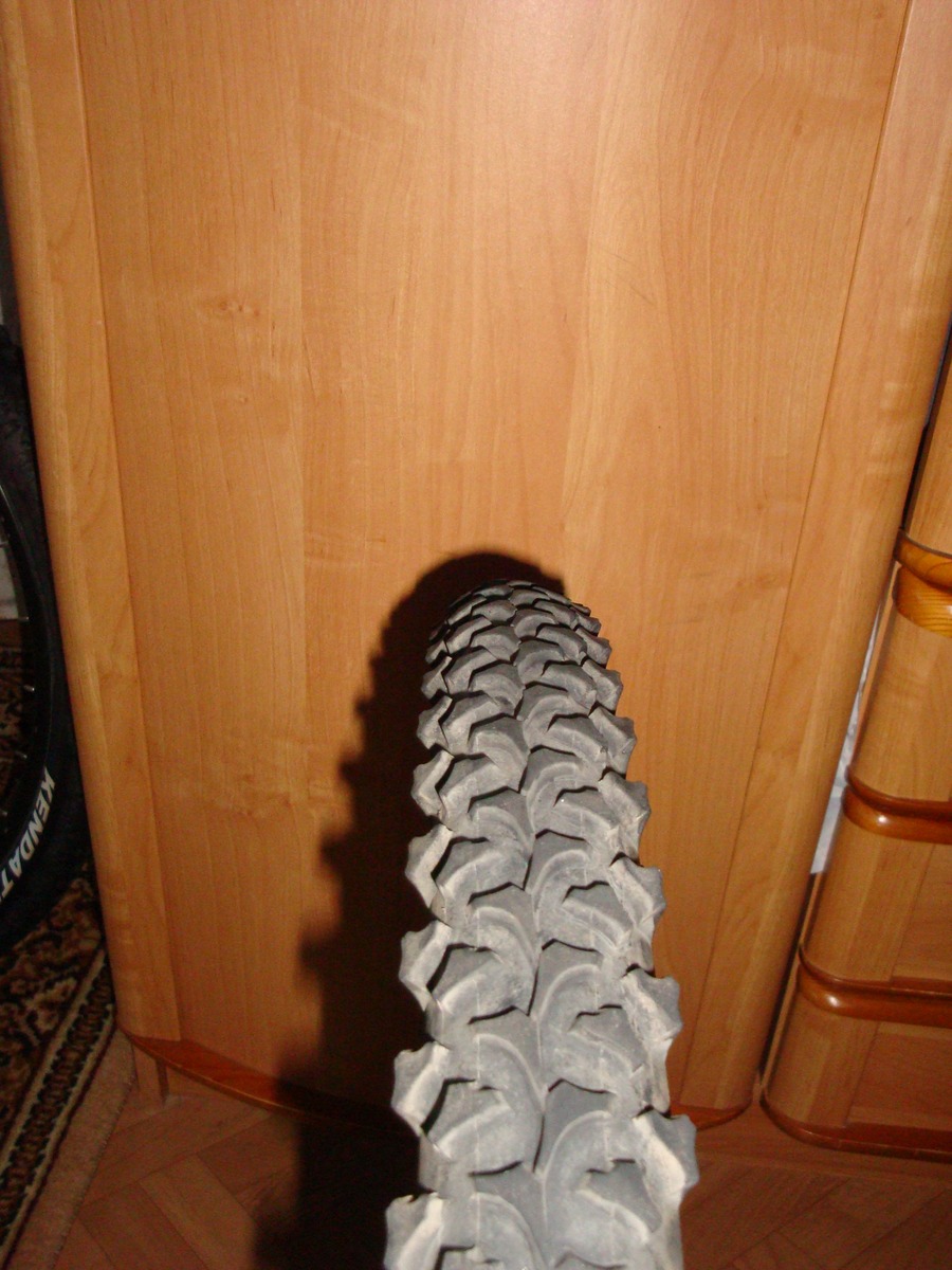 DSC06599.JPG