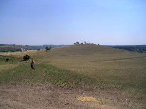 курган