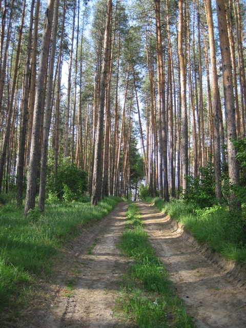 С погодой нам повезло.