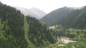 IMG_0663.JPG