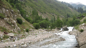 IMG_0729.JPG