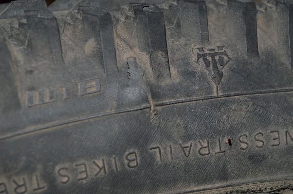 DSC_1534.JPG