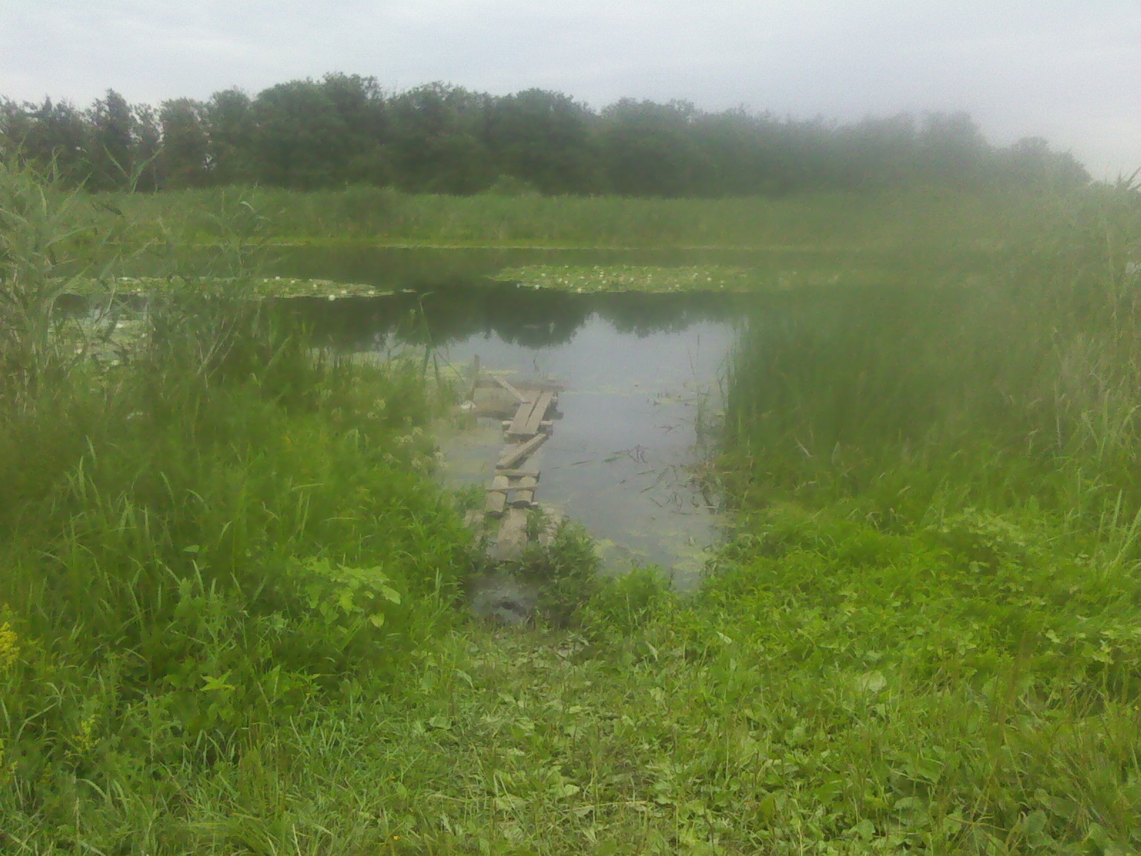 IMG_20140706_150413.jpg