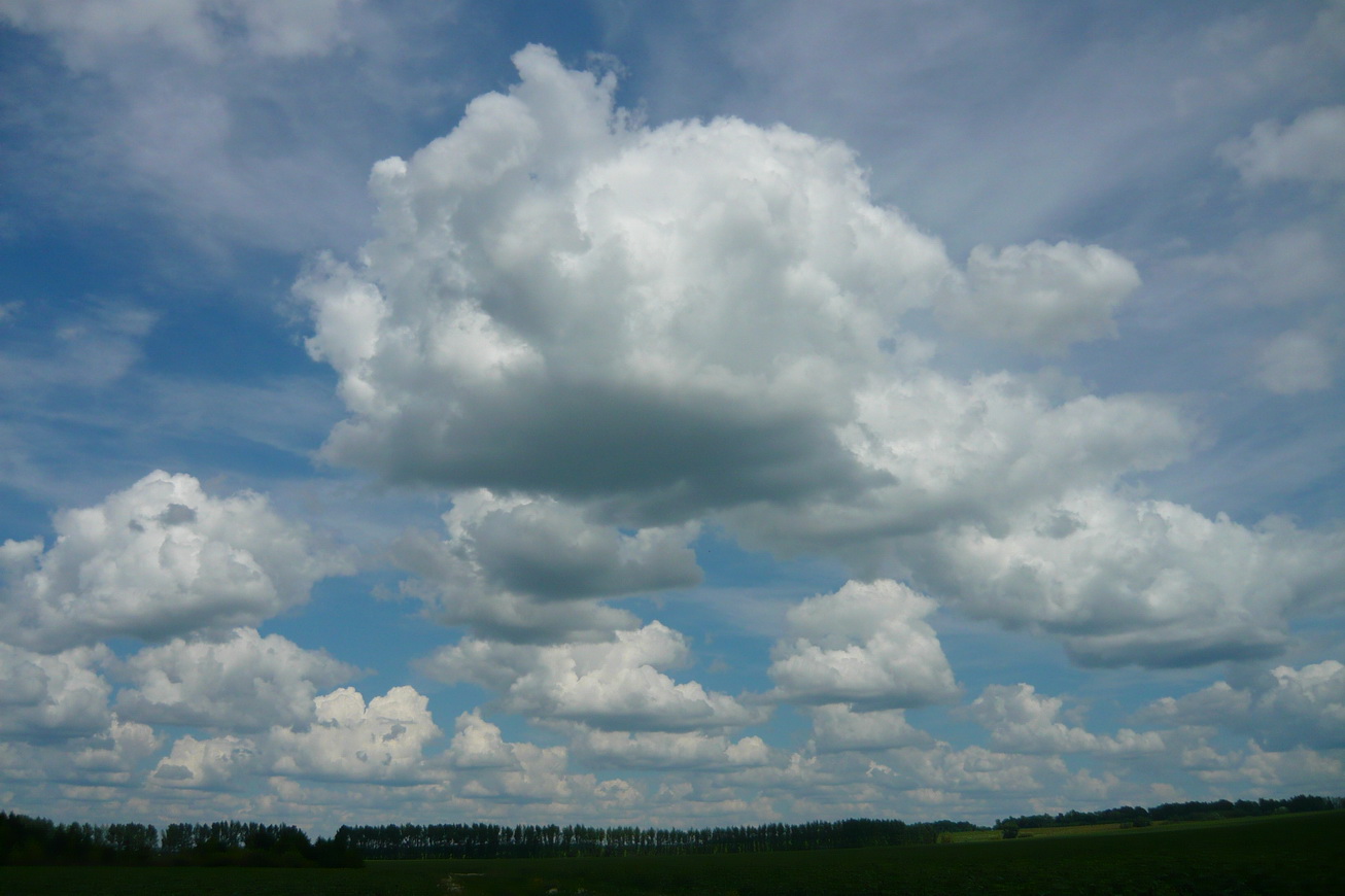 P1100449_новый размер.JPG
