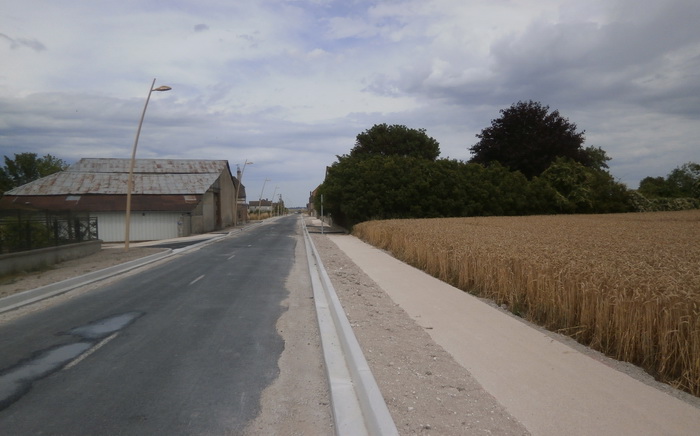 110 asphalt and wheat.jpg
