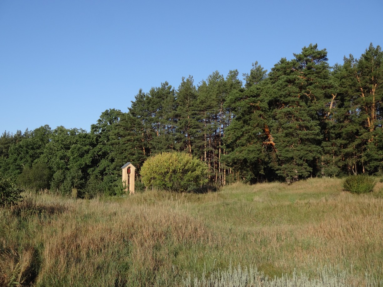 DSC00787.JPG