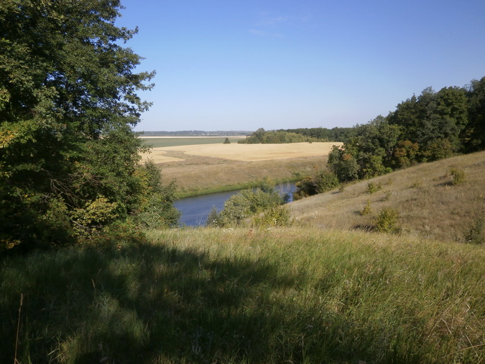 riverbank.jpg