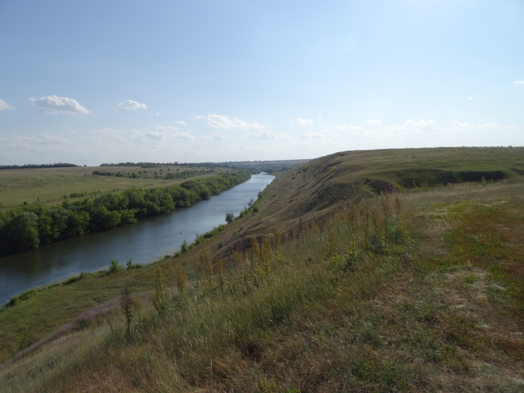 DSC04064.JPG
