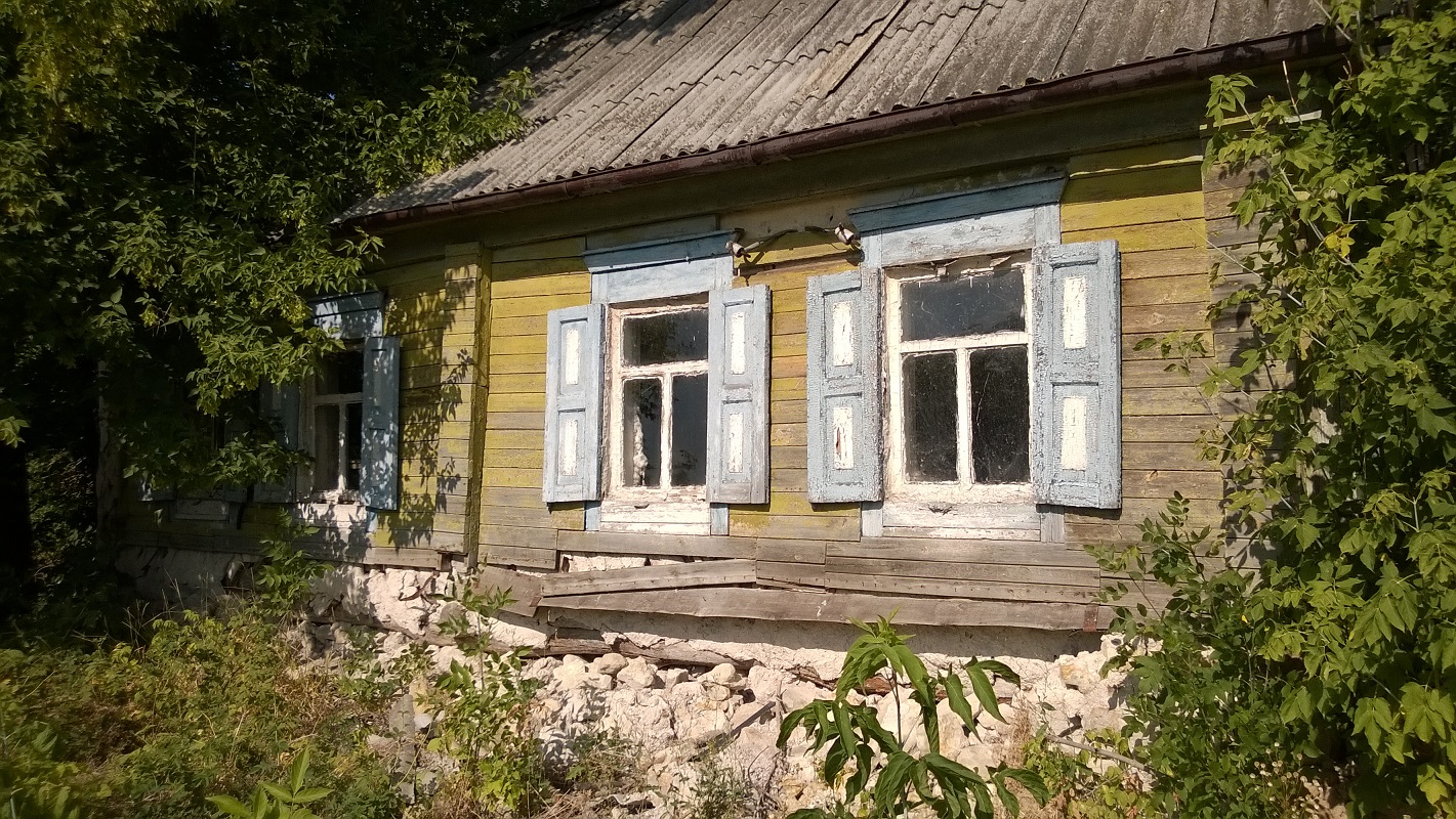 WP_20140730_006.jpg