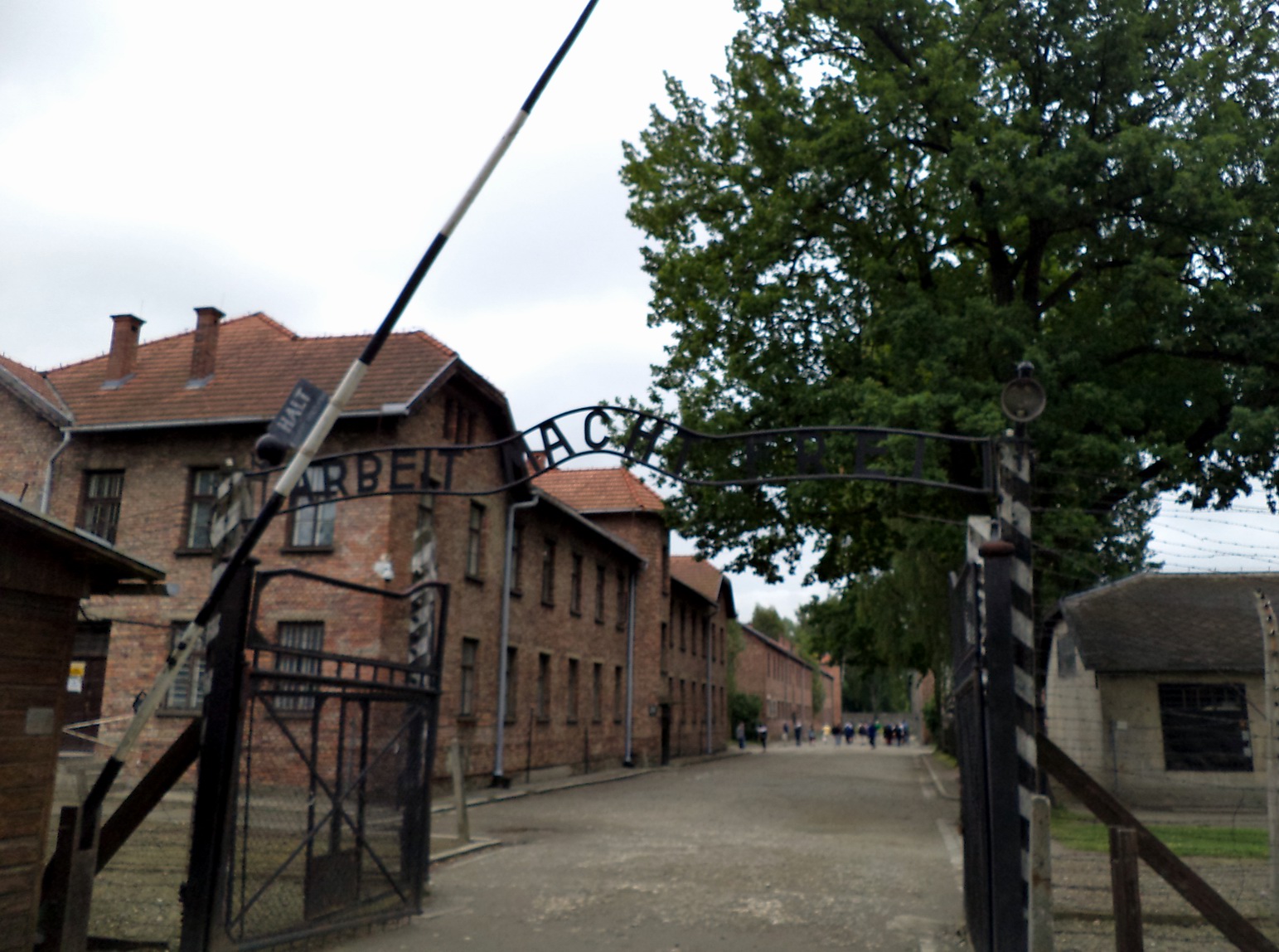 20140709_Krakow_48.JPG