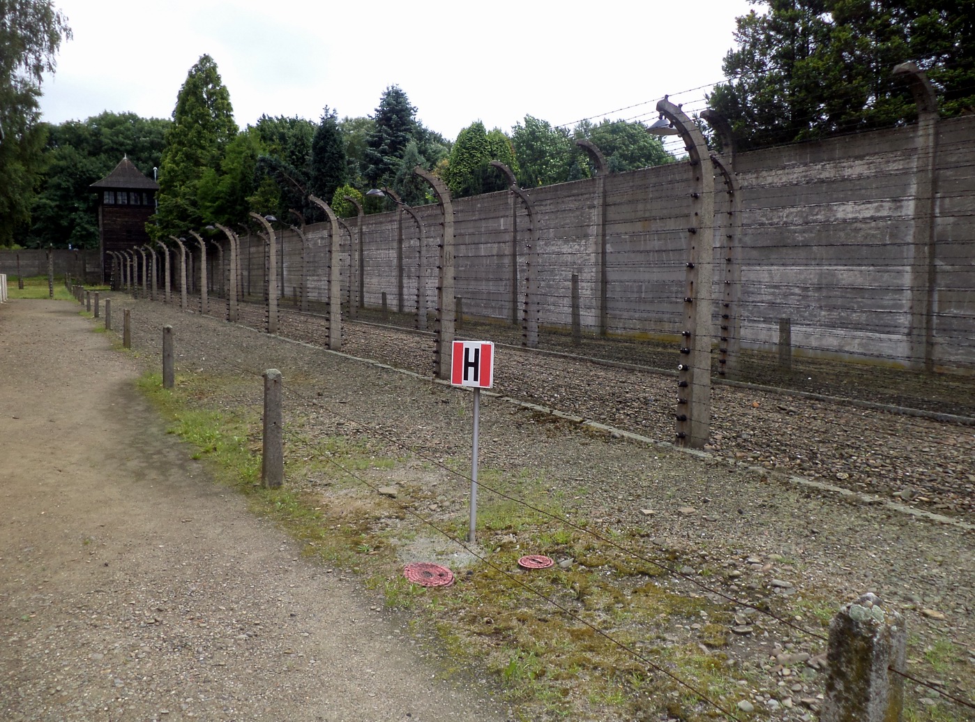 20140709_Krakow_30.JPG