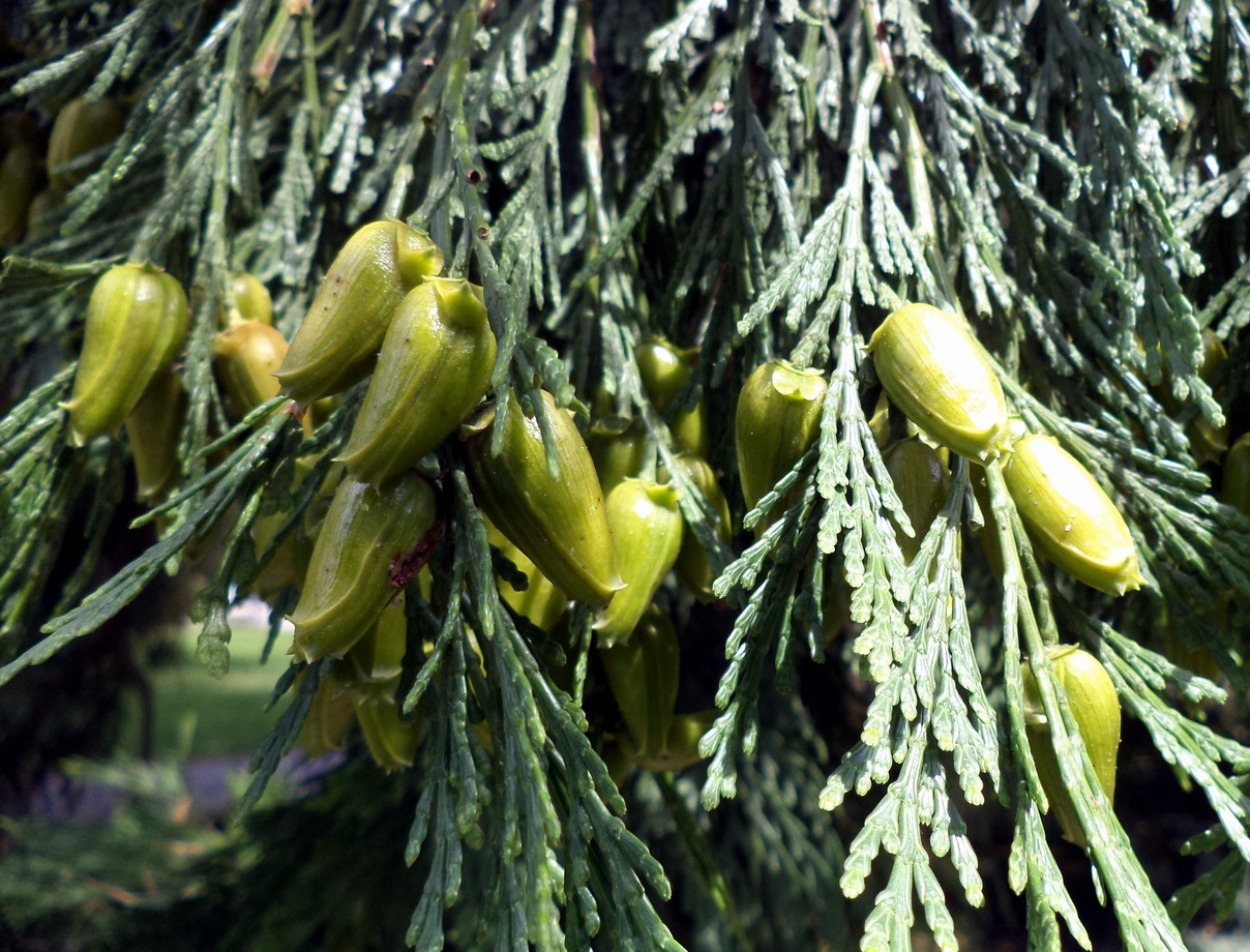 20140722_Frankfurt_021.JPG