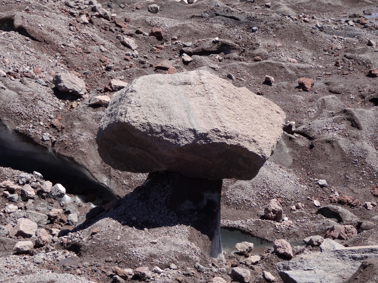 "Ледяные грибы"