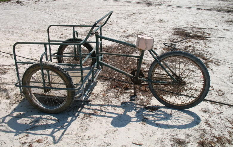 BICI_HOLBOX.jpg