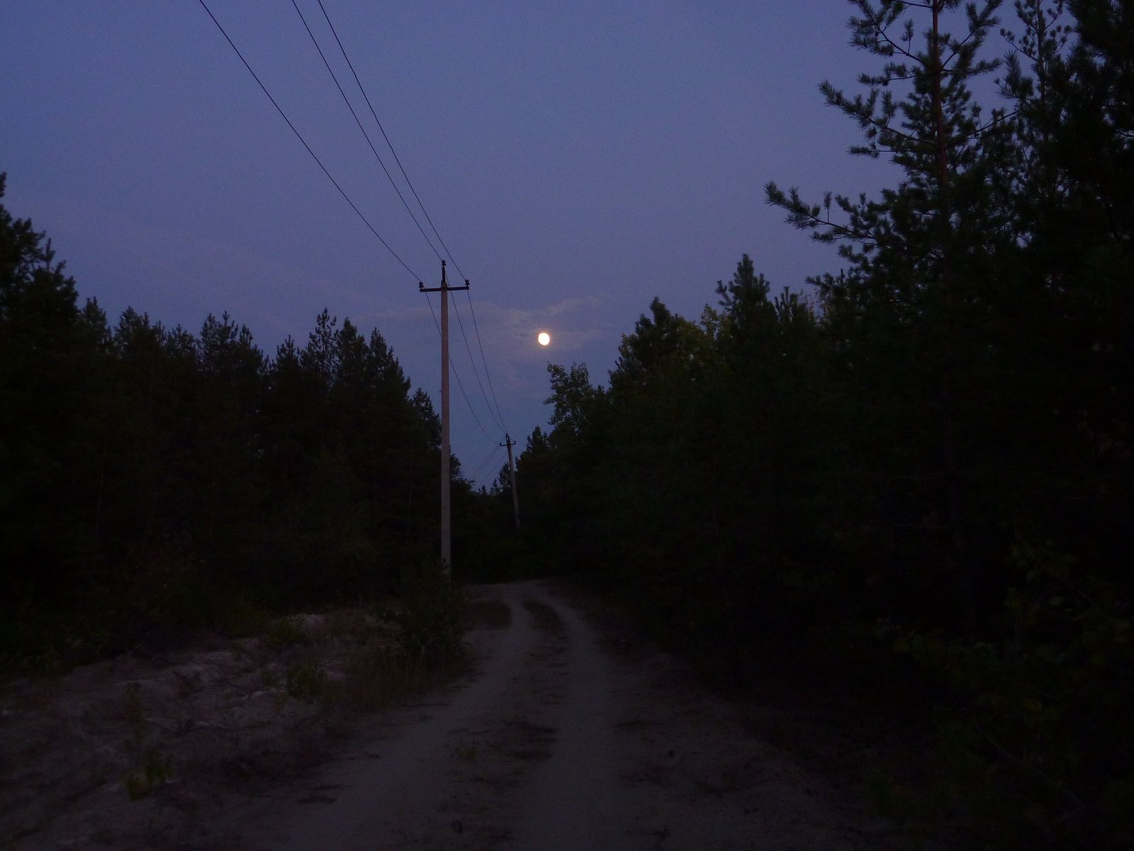 P1080326.JPG