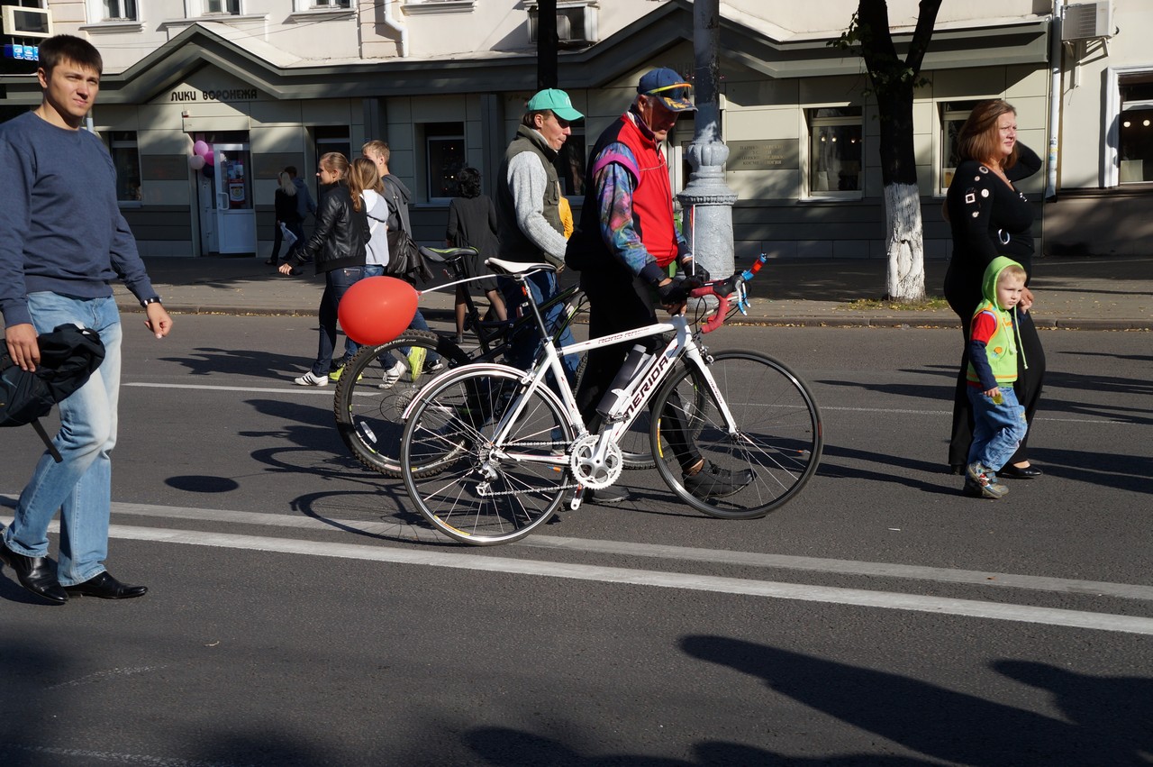 DSC06177.jpg