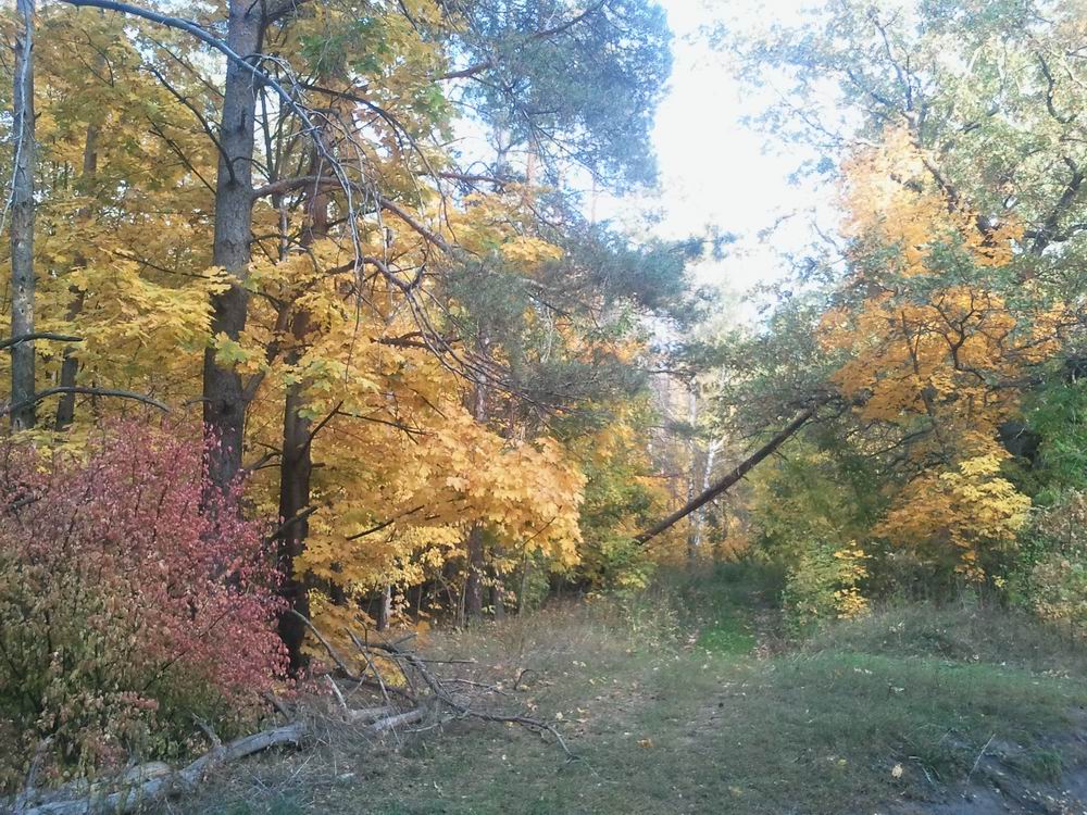 Resize of 2014-09-27 17.34.31.jpg