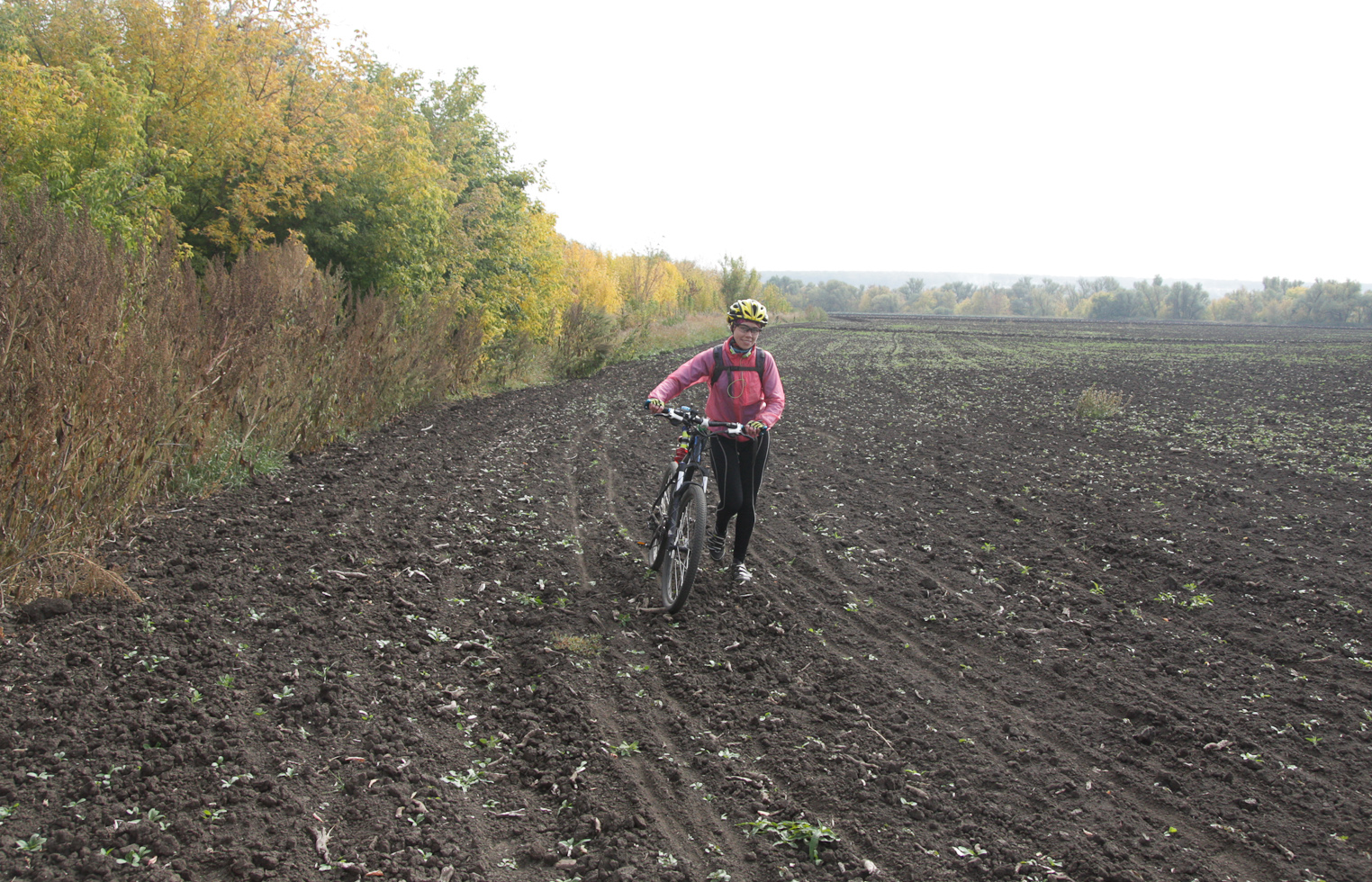 2014_09_27_5988_a.jpg
