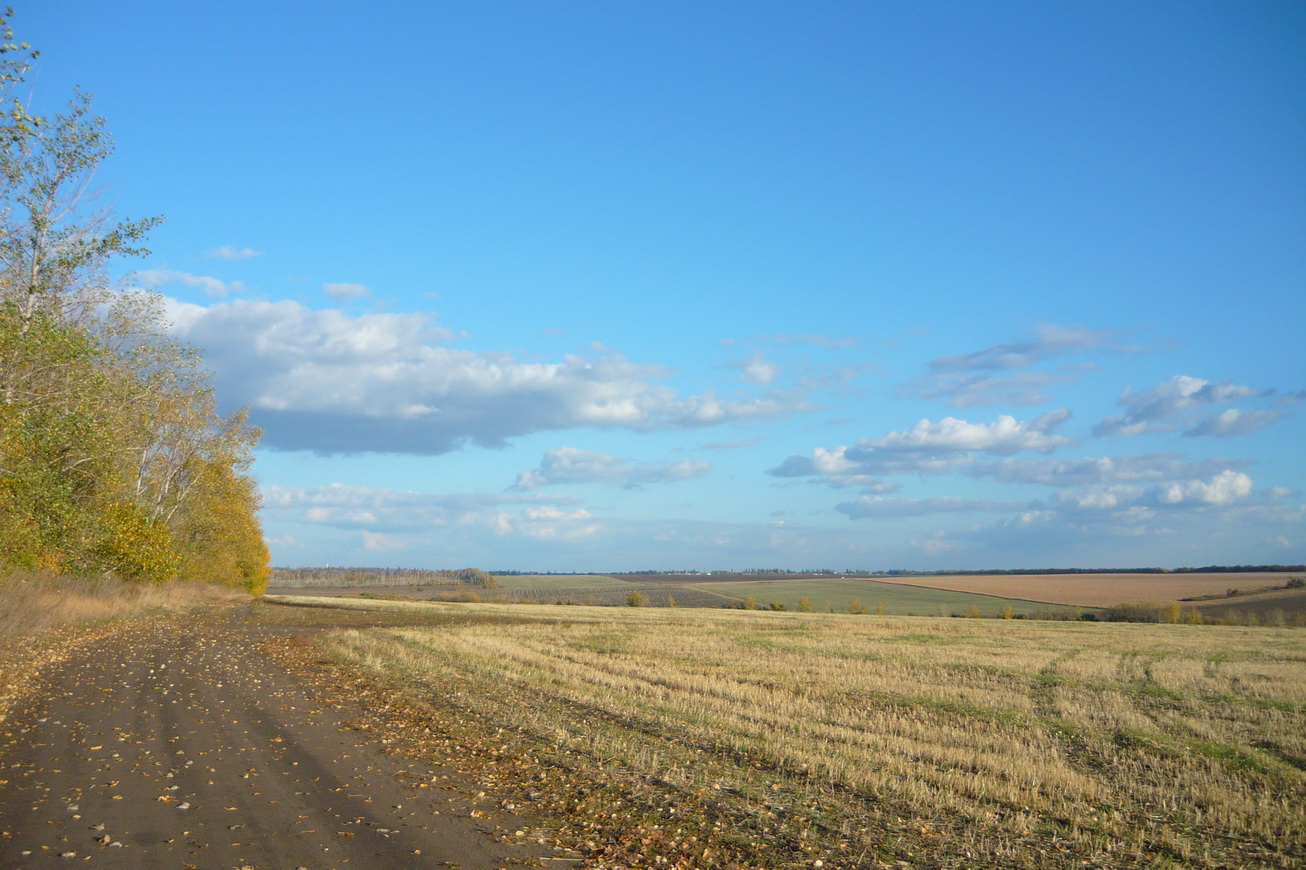 P1110180_новый размер.JPG