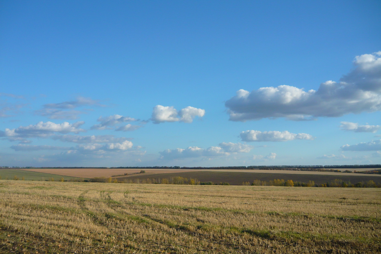 P1110181_новый размер.JPG