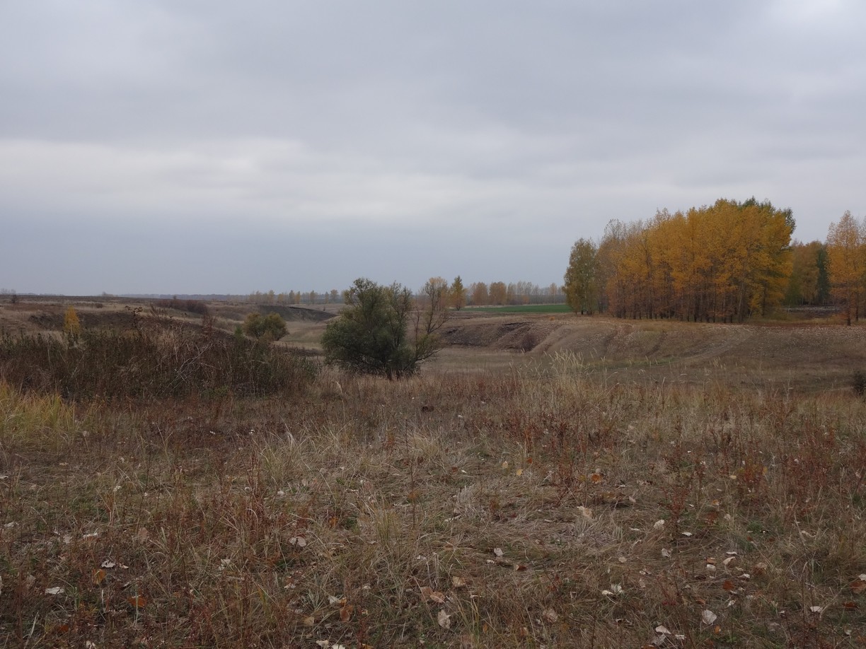 Истоки балки Репище